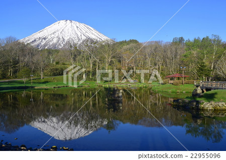 Mt. Yotei Kyogoku balloon park reflected on the surface of the water 22955096