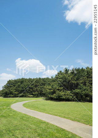 A wide park filled with greenery A wide park filled with greenery 22955145