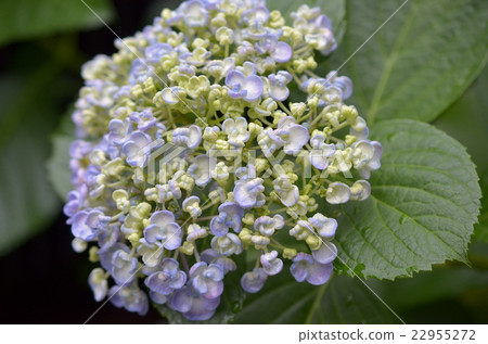 Uzworld的2016-1 22955272