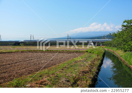 穿過春天蓮花場的新幹線 穿過春天蓮花場的新幹線 22955277