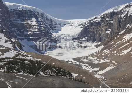 Columbia ice field image 22955384