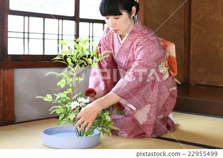 花佈置/做和插花的和服的婦女 22955499