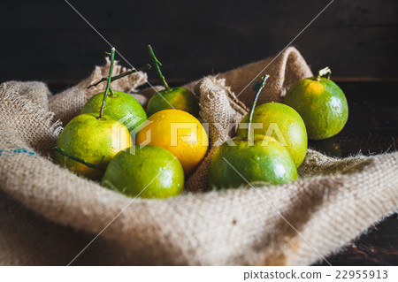 Oranges 22955913