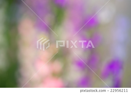 Green, purple and pink blurs Green, purple and pink blurs 22956211