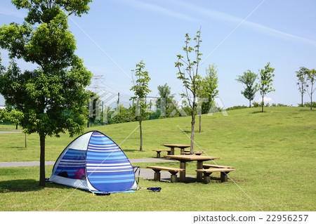 夏季公園 夏季公園 22956257