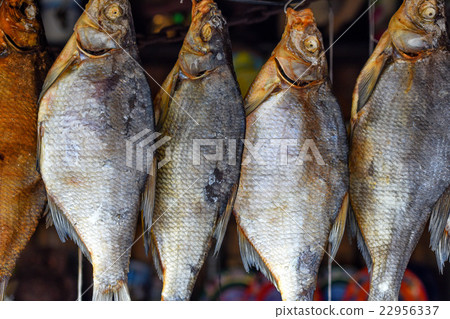 Bream river fish Bream river fish 22956337