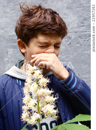 boy with nose itch hey fever condition boy with nose itch hey fever condition 22957261