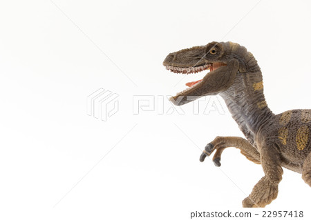 Velociraptor：迅猛龍 22957418