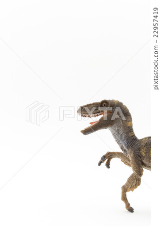 Velociraptor：迅猛龍 22957419