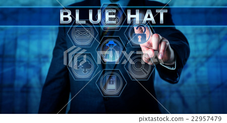 Blue Chip Software Engineer Pressing BLUE HAT 22957479