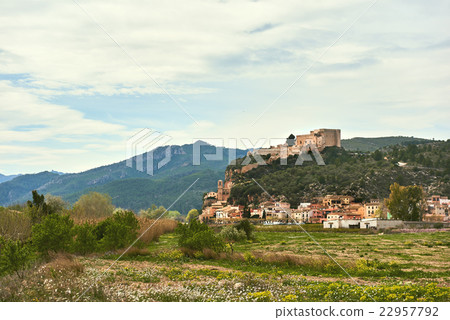 Miravet village in Spain Miravet village in Spain 22957792