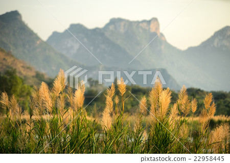 Landscape view from Sam Roi Yod National park 22958445