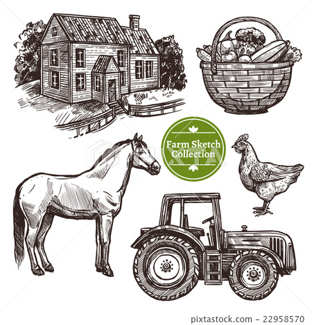 Farm Hand Drawn Sketch Set 22958570