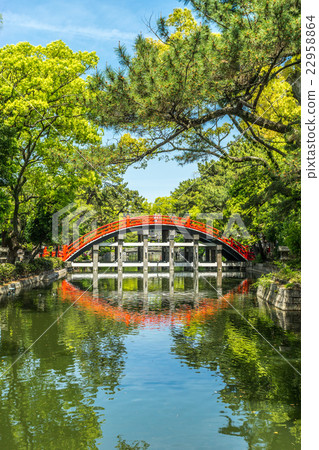 Drum bridge from sumiyoshi grand shrine, Osaka 22958864