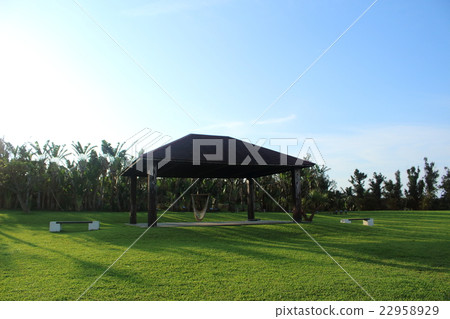 A landscape with a hammock A landscape with a hammock 22958929
