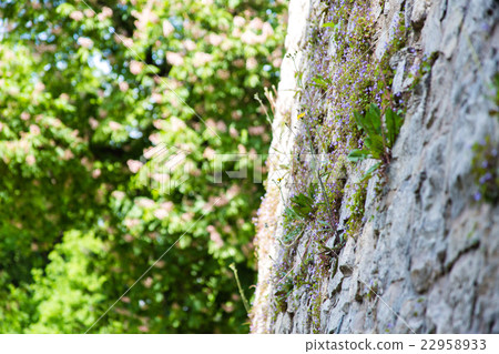 green planted vertical garden green planted vertical garden 22958933