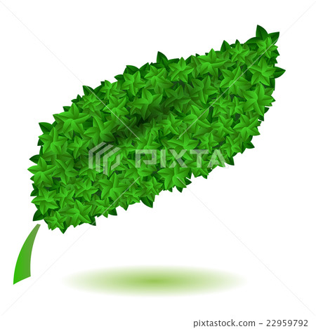Green Leaves Isolated. Symbl of Nature 22959792