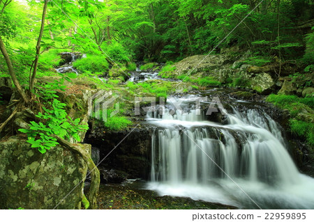 小室瀑布 小室瀑布 22959895