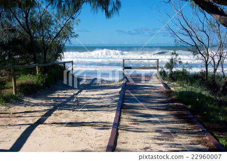 The sandy beach of the Gold Coast 22960007