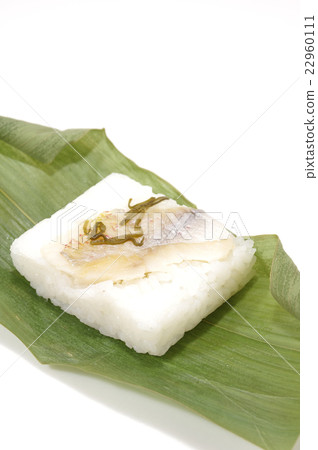 Sasa sushi (sea bream) 22960111