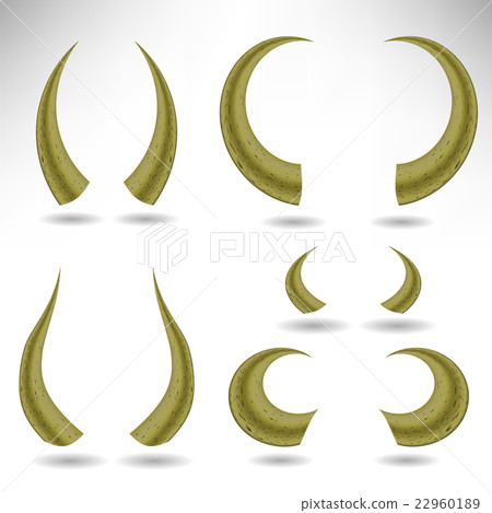 Animal Horns Isolated. Bull  22960189