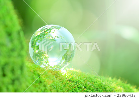 The globe in the forest 22960432
