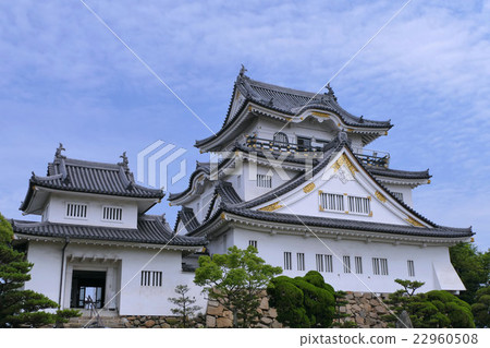 [岸和田城] Kishijicho Kishiwada City大阪府9 22960508