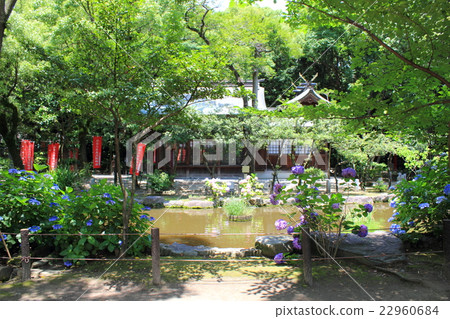福岡市住吉神社 福岡市住吉神社 22960684