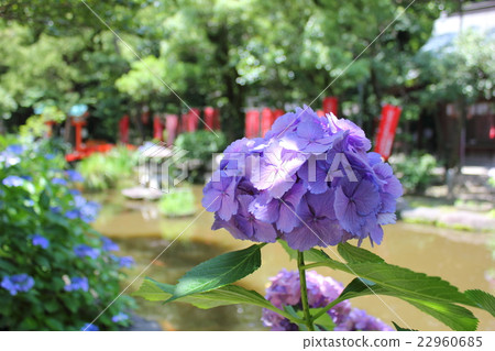 Sumiyoshi Shrine in Fukuoka City Sumiyoshi Shrine in Fukuoka City 22960685