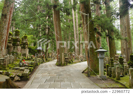 Koyasan Okunoin 和歌山縣伊東郡高野町高野山 照片素材 圖片 圖庫