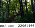 Mountain road 22961466
