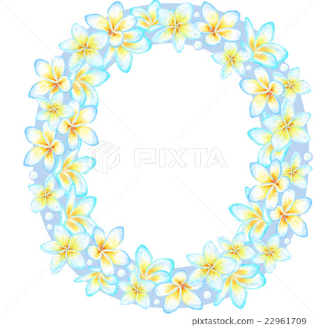 Plumeria flower character _O 22961709