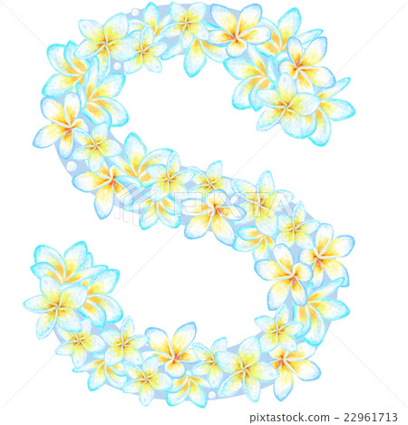 Plumeria flower character _S 22961713