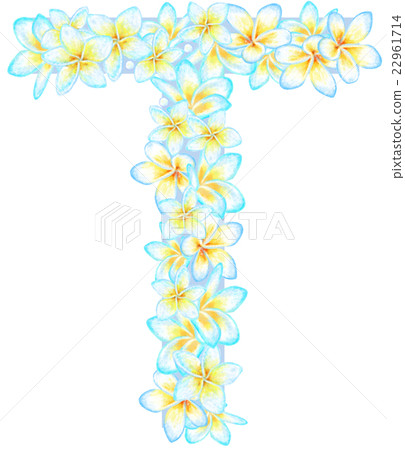 Plumeria flower character _ T 22961714