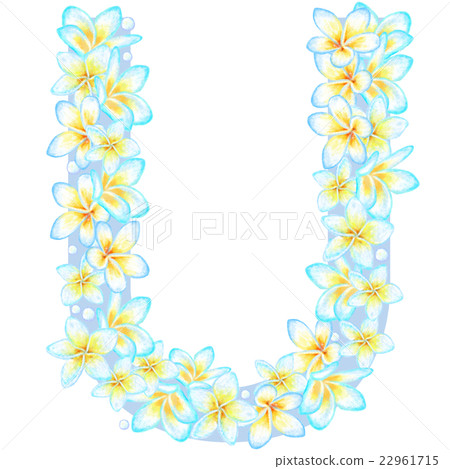 Plumeria flower ___ U 22961715