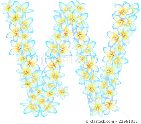 Plumeria flower letter _ W 22961815