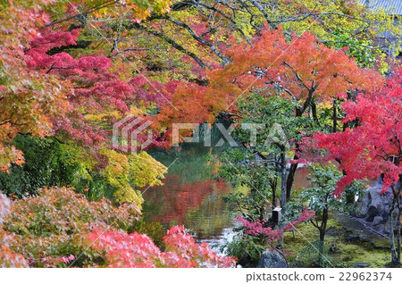 Eikan-do秋葉 22962374