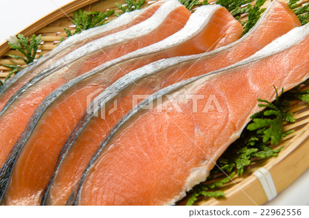 鹽漬烤三文魚魚片 22962556