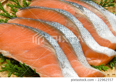 鹽漬烤三文魚魚片 22962557