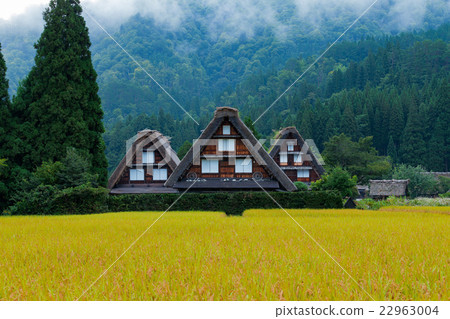 World Heritage Shirakawago Autumn of Autumn 22963004