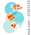 金魚1 22963150