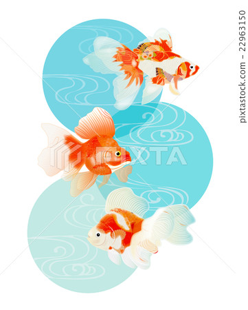 金魚1 金魚1 22963150