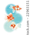 金魚2 22963151