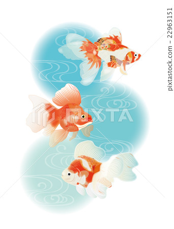 Goldfish 2 22963151
