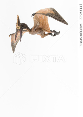 Pteranodon：Pteranodon 22963431
