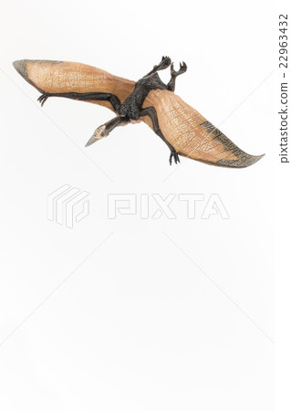Pteranodon: Pteranodon 22963432