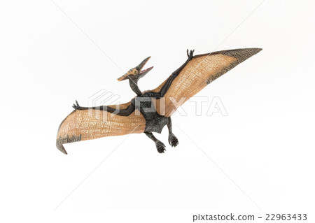 Pteranodon: Pteranodon Pteranodon: Pteranodon 22963433