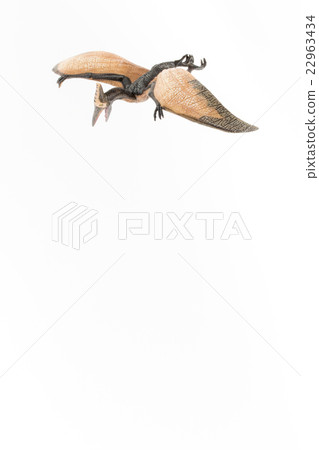 Pteranodon: Pteranodon 22963434
