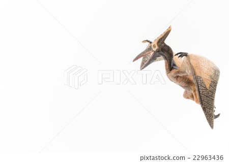 Pteranodon: Pteranodon Pteranodon: Pteranodon 22963436