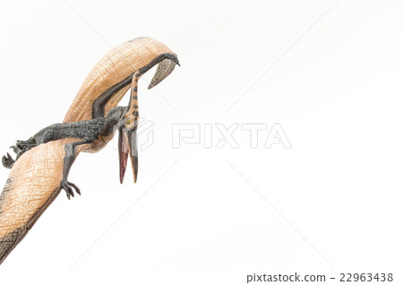 Pteranodon: Pteranodon Pteranodon: Pteranodon 22963438